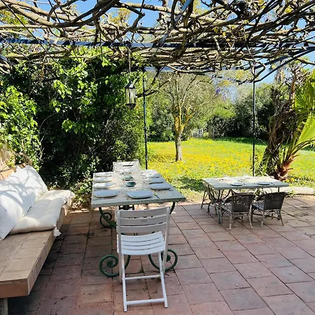 Holiday home Des Fleurs